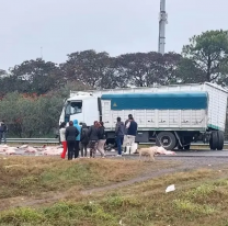 Terrible choque entre dos camiones en ruta norteña, llevaban carne y...