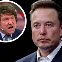 Elon Musk se arrepintió de su tweet apoyando a Javier Milei y lo borró