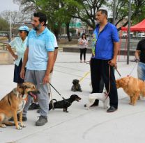 Ellos también tienen su fiesta en Jujuy: el Día de la Primavera Canina