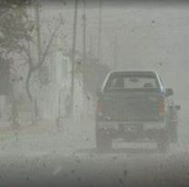 Jujuy: alerta amarilla por fuertes vientos y ráfagas de 120 km/h