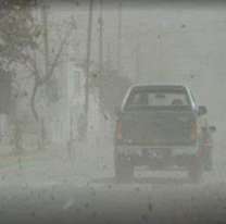 Alerta amarilla en Jujuy por fuertes ráfagas de viento para este sábado
