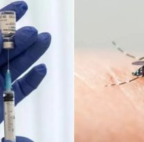 Alerta con el dengue: la vacuna cuesta más de lo que se pensaba
