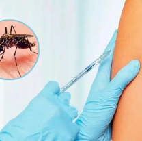 Precio y cuándo: todo sobre la vacuna contra el Dengue
