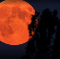 Eclipse de luna llena: así afectará a cada signo en la salud, dinero y amor