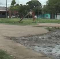 Jujeños conocieron a una chica en la plaza, la invitaron a un trío y todo terminó mal