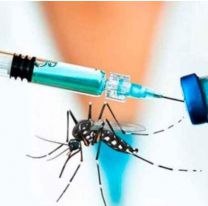 Llegó la vacuna contra el dengue: cuánto cuesta y dónde se aplica
