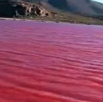 Como en los relatos bíblicos, el río Nilo se tiñó completamente de rojo y desató el misterio en Egipto