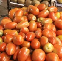 El tomate en Jujuy está incomprable: aumentó un 100%