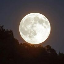 Luna del Castor: cuándo es y cómo afectará a cada signo del Zodíaco