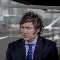 El video de Javier Milei que generó cientos de comentarios