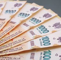 Anses pagará $50.000 de bono de fin de año: revisá si te toca
