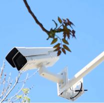 Palpalá tierra de nadie: vecinos compraron cámaras de seguridad ante una ola de robos