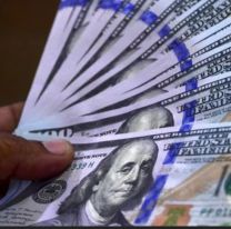 Dólar hoy en Jujuy: a cuánto cotiza el blue este lunes 29 de enero