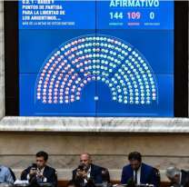 Ley Ómnibus: cómo sigue el debate en Diputados