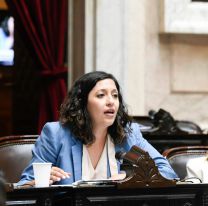 Leila Chaher la única peronista jujeña que voto en contra de la ley ómnibus