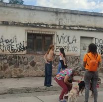 Denuncian que una perrita sufrió abuso sexual de un hombre en Jujuy 