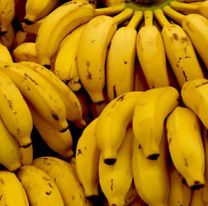 Comer bananas en Jujuy es sólo para millonarios: las pocas que hay, carísimas