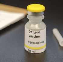 En Salta vacunan gratis contra el dengue ¿Puedo ir si soy jujeño? 