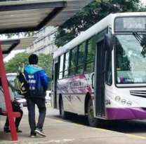 Vuelven a funcionar con normalidad los colectivos en Jujuy: ¿Desde cuándo?