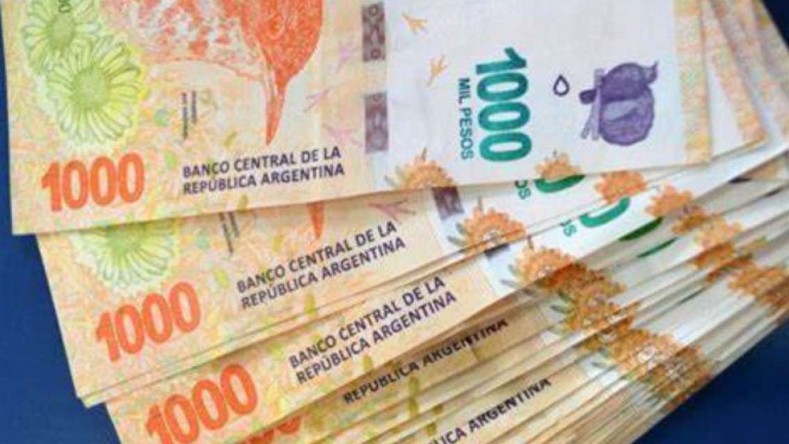 ANSES paga un extra de $108.000 en enero 2025: ¿Quiénes y cuándo lo cobran?