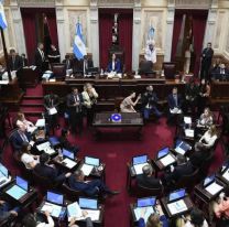 El Senado rechazó el mega DNU de Javier Milei y será tratado en Diputados