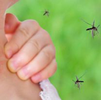 Especialistas advierten que el dengue superará el millón de casos en unos días