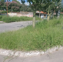  "Palpalá está muy abandonado": vecinos insisten obras urgentes en la ciudad 