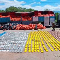 Gendarmería Nacional secuestró un camión de zapallos con más de 800 kg de cocaína 
