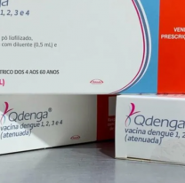 Dengue en Jujuy: Quiénes no pueden ponerse la vacuna 