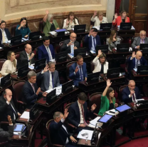 Senadores nacionales aumentaron su sueldo: cuánto cobrarán los de Jujuy