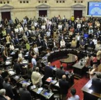 Senadores Nacionales justificaron su aumento: Adorni cobra 3 veces más
