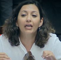 Leila Chaher: "Esto es el hot sale de nuestra soberanía"