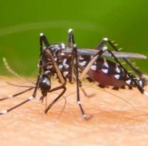 El dengue se cobró la vida de otro jujeño y se registraron 1050 nuevos casos