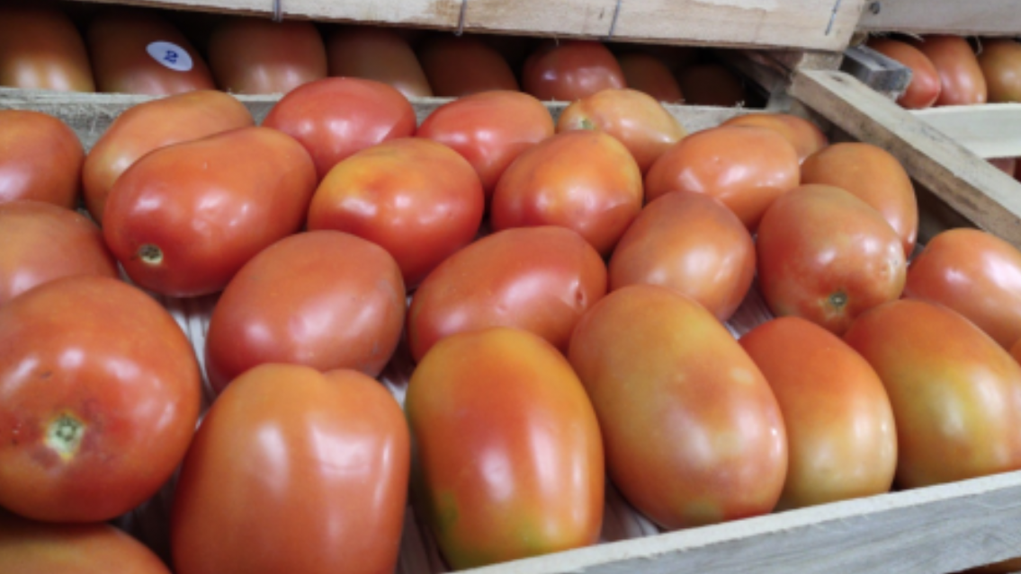 El tomate en Jujuy se volvió un lujo: el precio está por las nubes