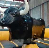 Murió una nena tras caer de un toro mecánico: las hipótesis