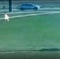 Arriba de una camioneta y con un hombre: el llamado al 911 que ingresó de Loan
