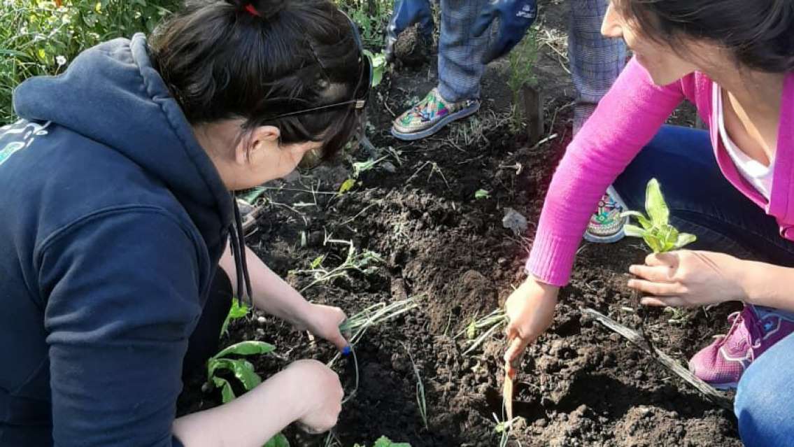 La muni de San Salvador lanzó un taller gratuito de huertas orgánicas