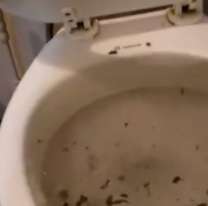 Ya destruyeron los baños del nuevo museo de Jujuy: "Pañales y..."