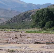 Conmoción en Jujuy:  encontraron un hombre muerto cerca del Río Grande