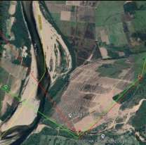  Detectan plantaciones ilegales de caña de azúcar de Bolivia en territorio argentino