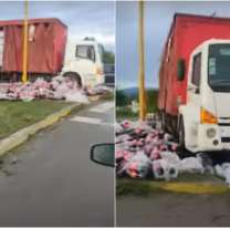 Camión perdió su carga en la 66: iba lleno de gaseosas