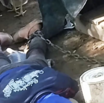 "Como un animal", norteña vivía encadenada a la cucha del perro