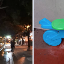 Jujeños se macharon en una plaza, despertaron a todos y se robaron un juego de niños 