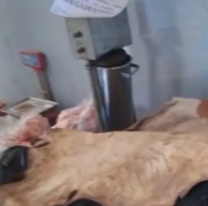 Horror en una carnicería norteña, no se puede creer lo que encontraron: