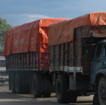 Asustó a todos: camionero vio un "ente" en la ruta y subió el video