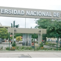 Las 5 opciones de carreras cortas para estudiar en la UNSa este año