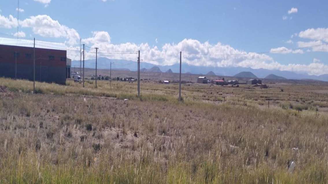 Confirman que el jujeño asesinado solo tenía hojas de coca que llevaba a su pueblo