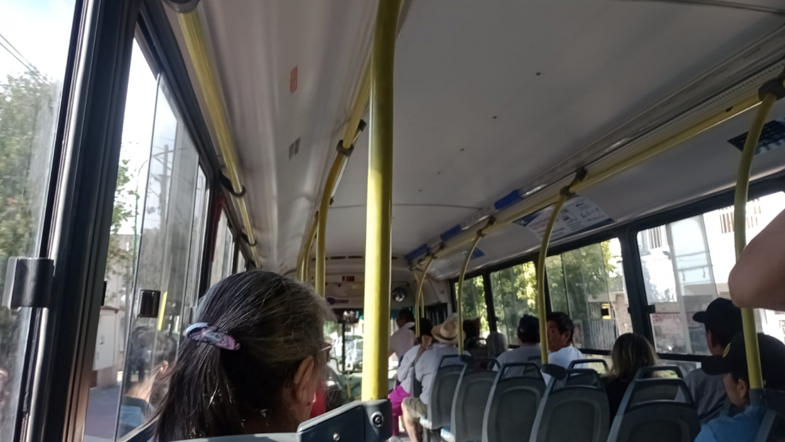 Reempadronamiento para acceder a beneficios en el transporte público