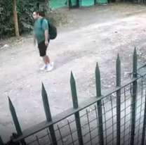 Caminaba a su trabajo, fue sorprendido por un ladrón y quedó en terapia intensiva