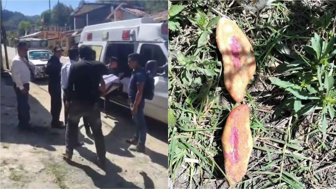 Tres nenas murieron tras comer pan envenenado: "Lo habían dejado para los perros"